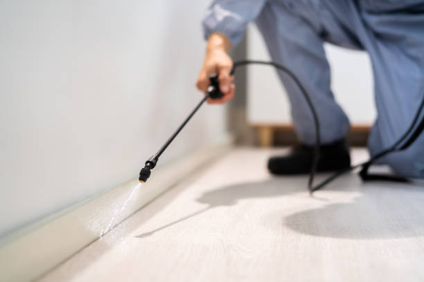 Licensed Termite Control service in Danbury, CT - Nex Pest Control