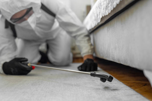 Professional Termite Control technician working in Danbury, CT