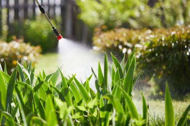 24/7 Emergency Termite Control experts in Danbury, CT