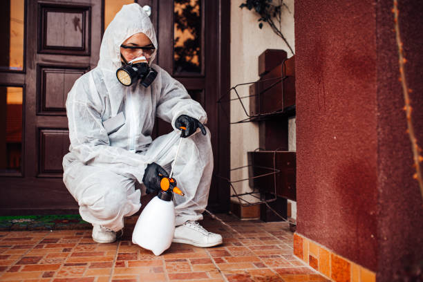 Reliable Termite Control contractor in Danbury, CT by Nex Pest Control