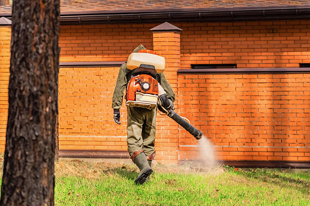 Top rated local Termite Control specialists in Danbury, CT